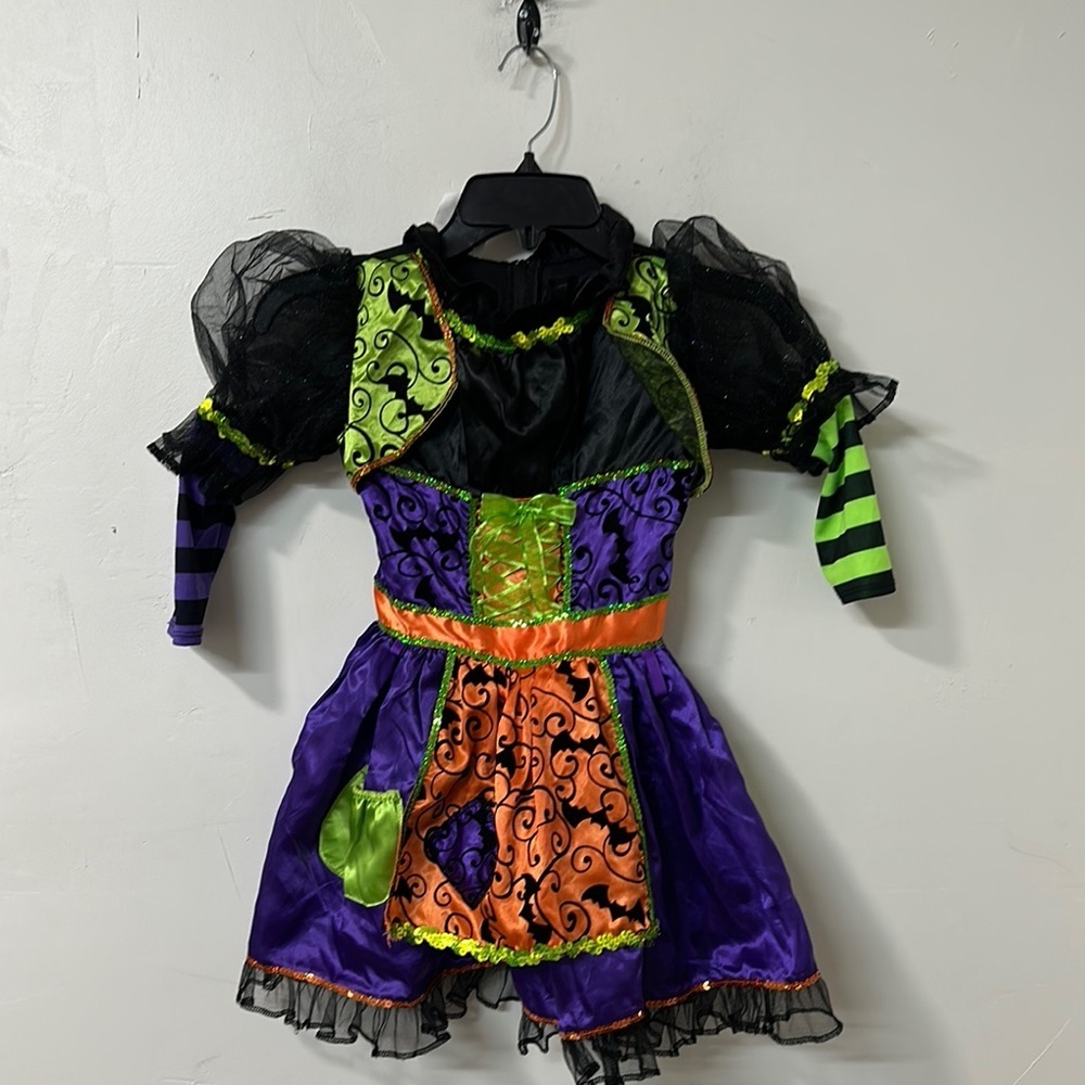 California Costumes Purple and Green Witch Halloween Costume
